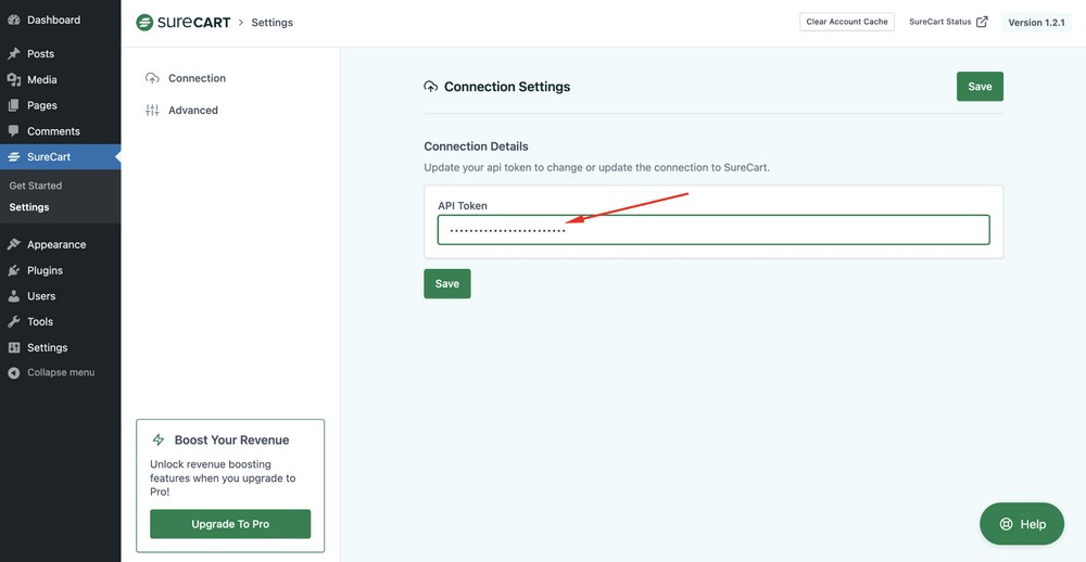 Paste the API token