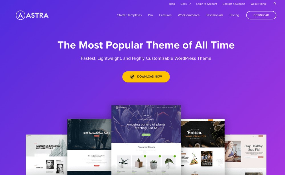 astra multipurpose theme